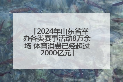 2024年山东省举办各类赛事活动8万余场 体育消费已经超过2000亿元
